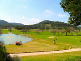 imagen del unico campo de golf operativi, de momento, en menorca, situado enla urbanizacion de son parc